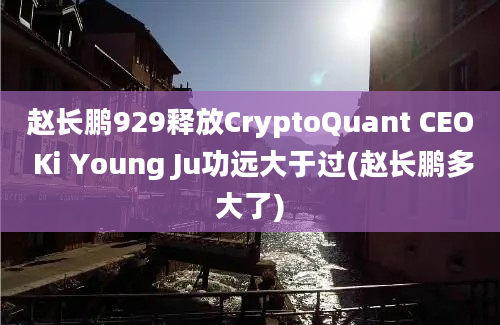 赵长鹏929释放CryptoQuant CEO Ki Young Ju功远大于过(赵长鹏多大了)