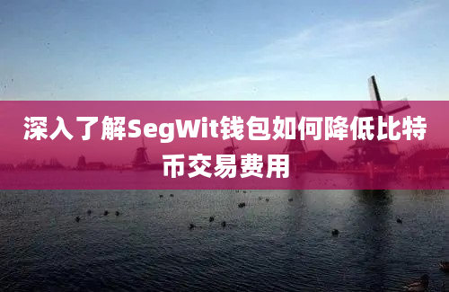 深入了解SegWit钱包如何降低比特币交易费用