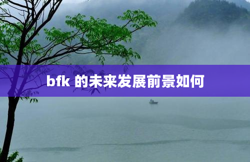 bfk 的未来发展前景如何