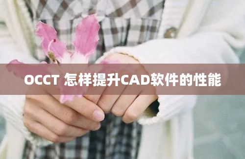 OCCT 怎样提升CAD软件的性能