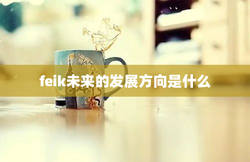 feik未来的发展方向是什么