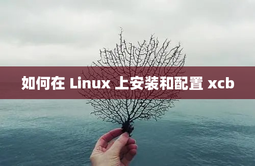 如何在 Linux 上安装和配置 xcb