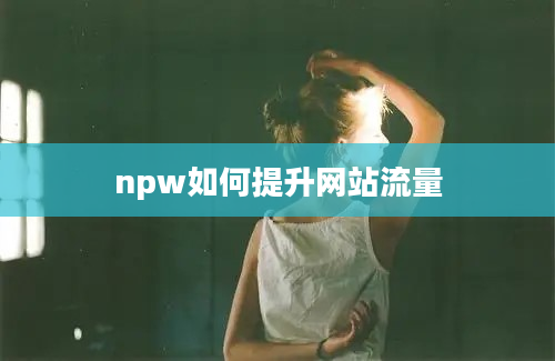 npw如何提升网站流量