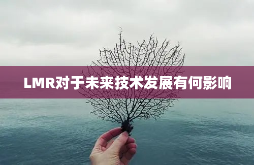 LMR对于未来技术发展有何影响