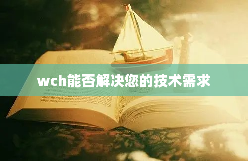 wch能否解决您的技术需求