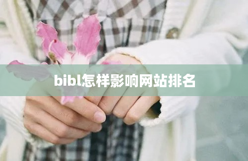 bibl怎样影响网站排名