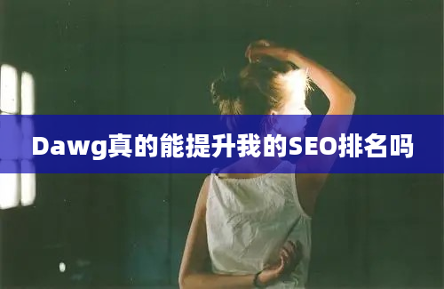 Dawg真的能提升我的SEO排名吗