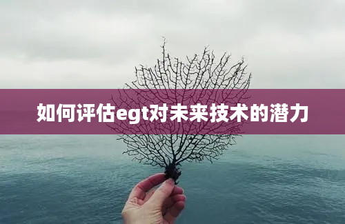 如何评估egt对未来技术的潜力