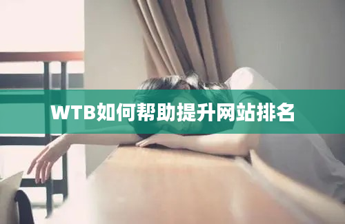 WTB如何帮助提升网站排名