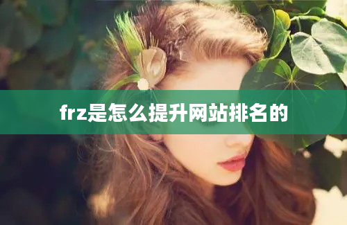 frz是怎么提升网站排名的