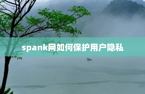 spank网如何保护用户隐私