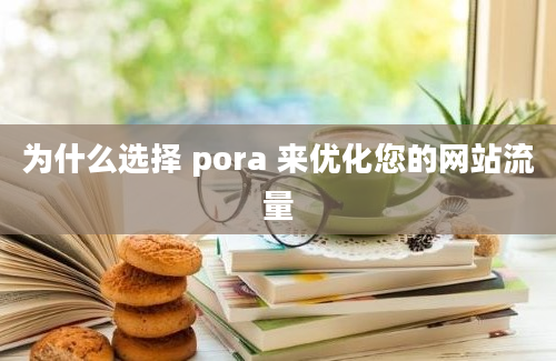 为什么选择 pora 来优化您的网站流量