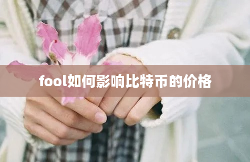 fool如何影响比特币的价格