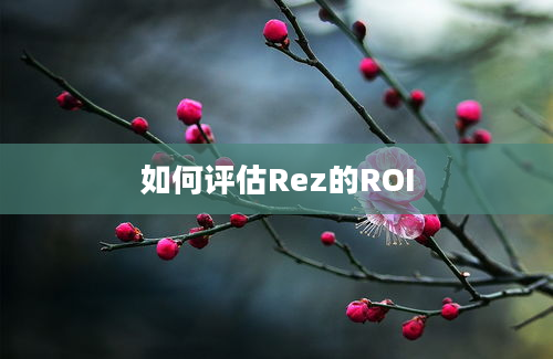 如何评估Rez的ROI