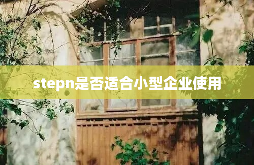 stepn是否适合小型企业使用