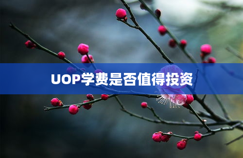 UOP学费是否值得投资