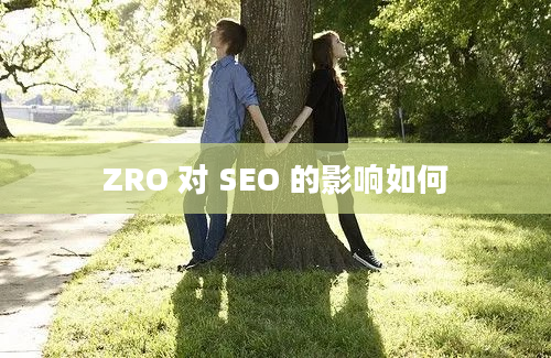 ZRO 对 SEO 的影响如何