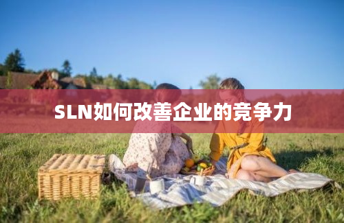 SLN如何改善企业的竞争力