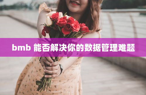 bmb 能否解决你的数据管理难题