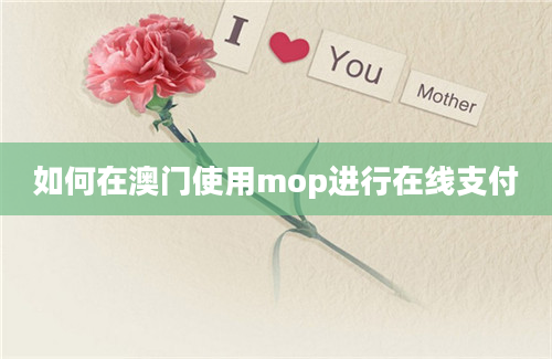 如何在澳门使用mop进行在线支付