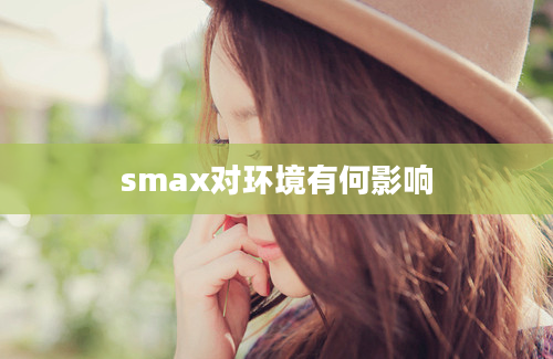 smax对环境有何影响