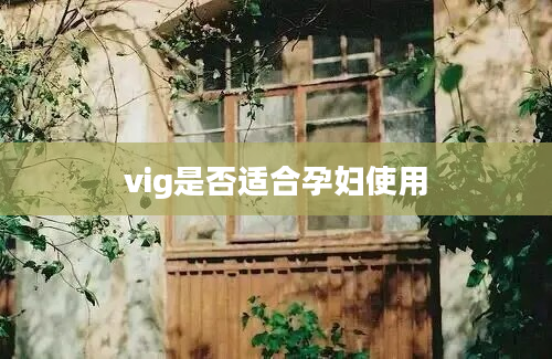 vig是否适合孕妇使用