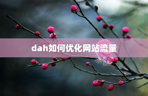 dah如何优化网站流量