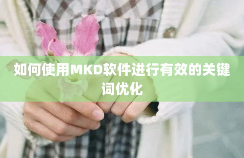 如何使用MKD软件进行有效的关键词优化