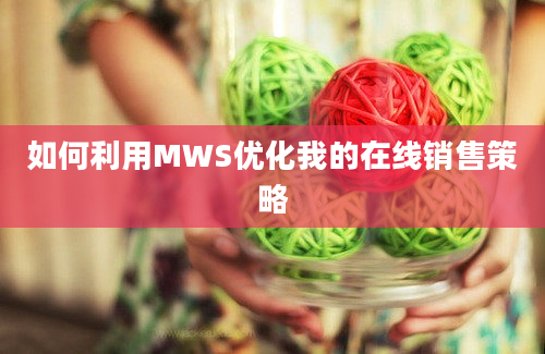 如何利用MWS优化我的在线销售策略