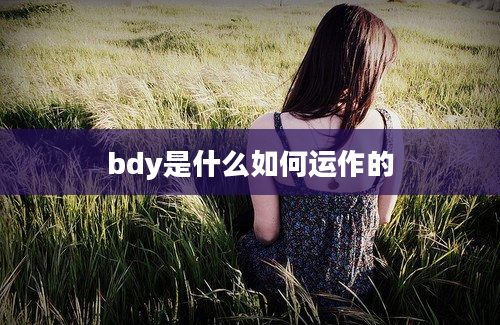 bdy是什么如何运作的