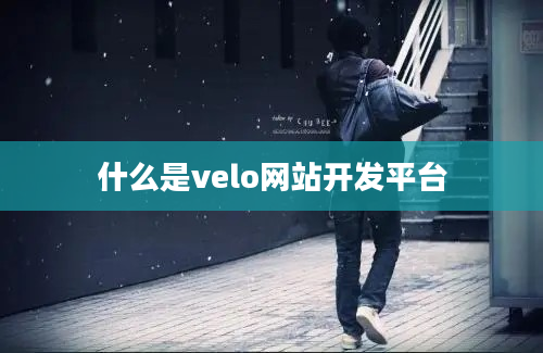 什么是velo网站开发平台