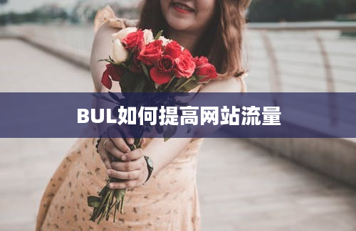 BUL如何提高网站流量