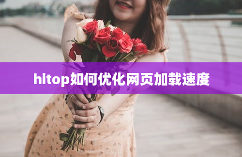 hitop如何优化网页加载速度