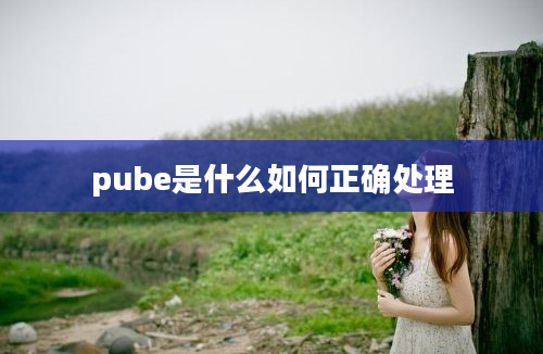 pube是什么如何正确处理