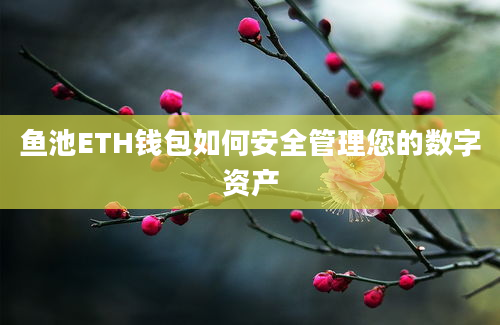 鱼池ETH钱包如何安全管理您的数字资产