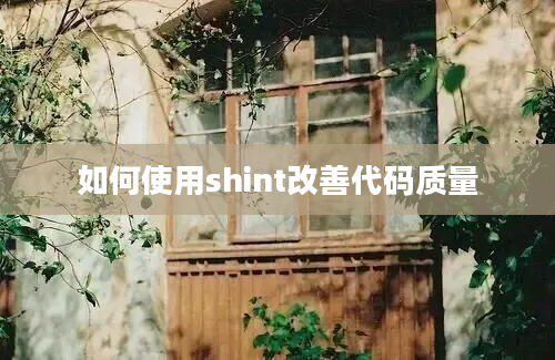 如何使用shint改善代码质量