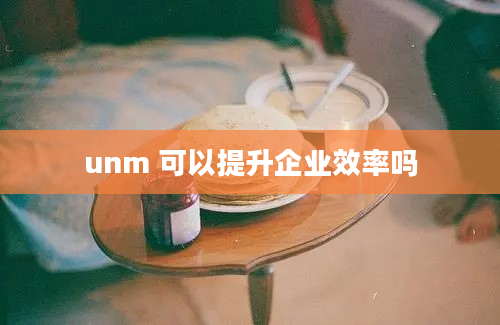 unm 可以提升企业效率吗