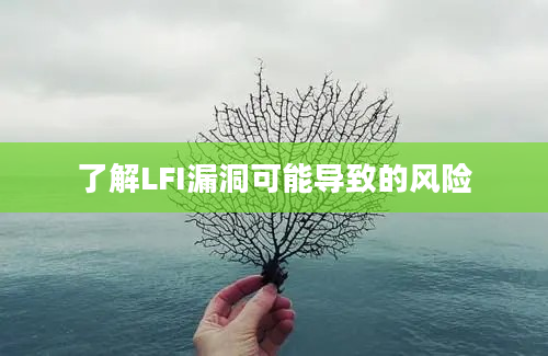 了解LFI漏洞可能导致的风险