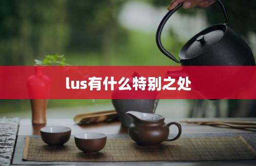 lus有什么特别之处