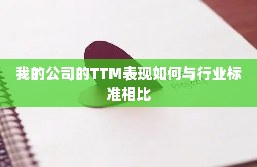 我的公司的TTM表现如何与行业标准相比