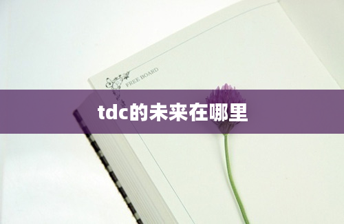 tdc的未来在哪里