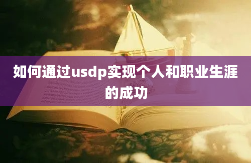 如何通过usdp实现个人和职业生涯的成功