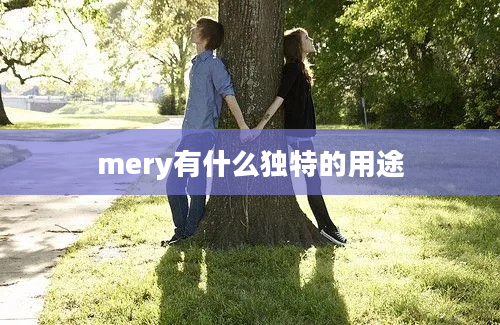 mery有什么独特的用途