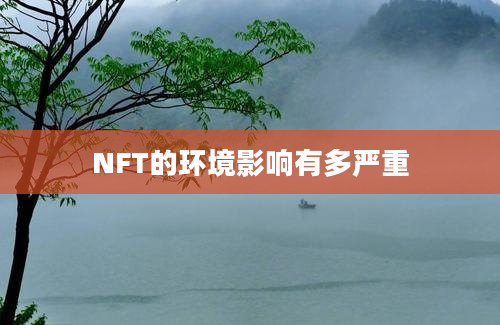 NFT的环境影响有多严重