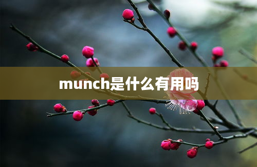 munch是什么有用吗