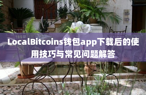 LocalBitcoins钱包app下载后的使用技巧与常见问题解答