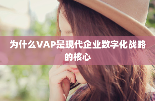 为什么VAP是现代企业数字化战略的核心