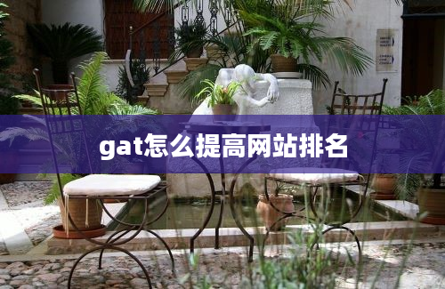 gat怎么提高网站排名