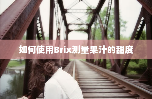 如何使用Brix测量果汁的甜度