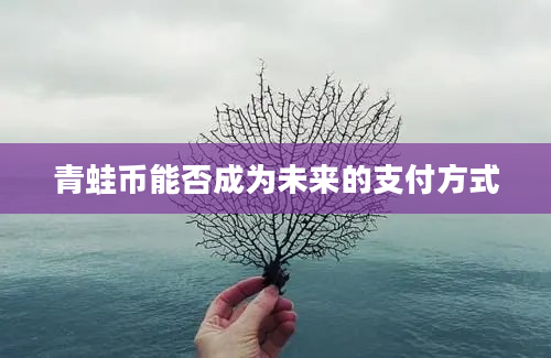 青蛙币能否成为未来的支付方式